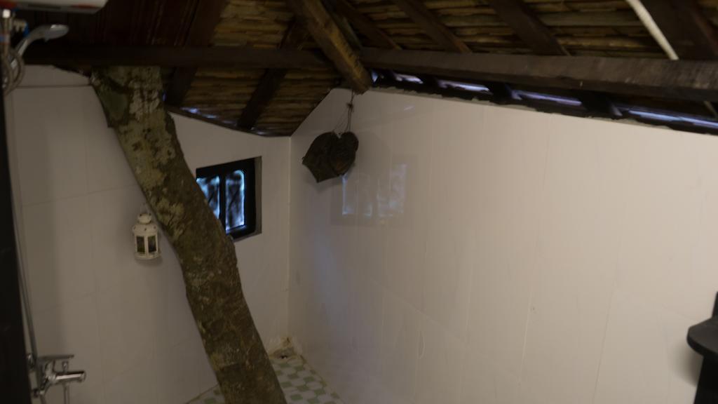 הואה Thuy Bieu Homestay מראה חיצוני תמונה