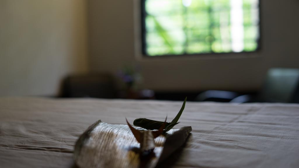 הואה Thuy Bieu Homestay מראה חיצוני תמונה