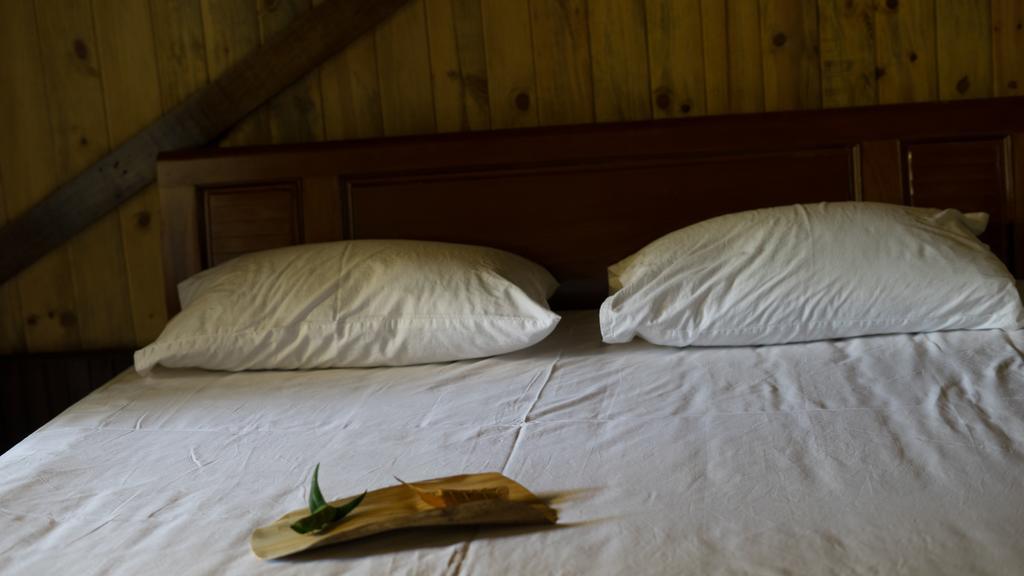 הואה Thuy Bieu Homestay מראה חיצוני תמונה