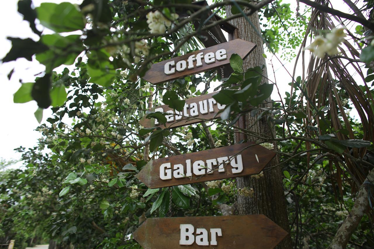 הואה Thuy Bieu Homestay מראה חיצוני תמונה