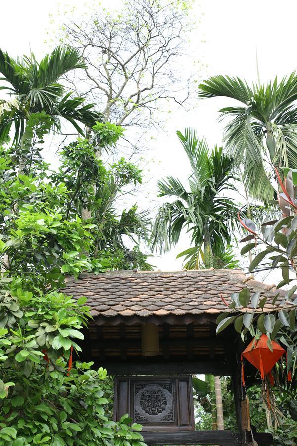 הואה Thuy Bieu Homestay מראה חיצוני תמונה