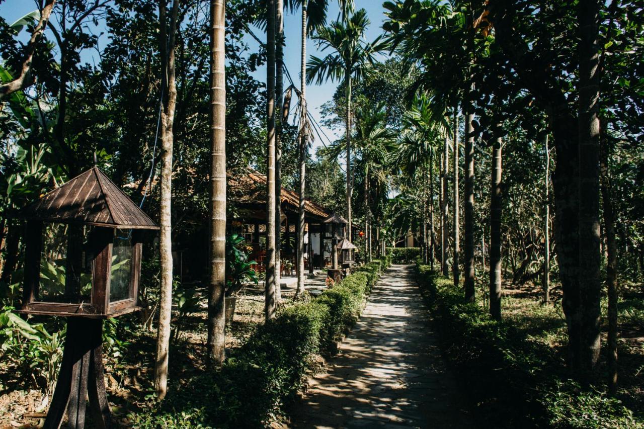הואה Thuy Bieu Homestay מראה חיצוני תמונה