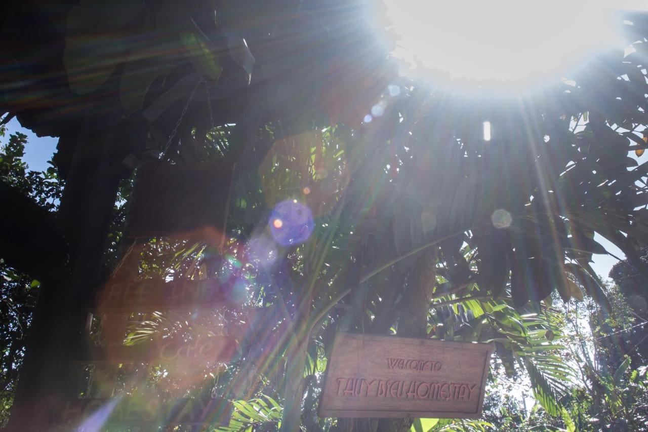 הואה Thuy Bieu Homestay חדר תמונה